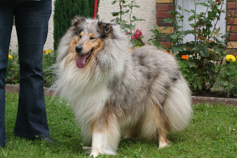 Abysse bleue de l'Orée des charmes